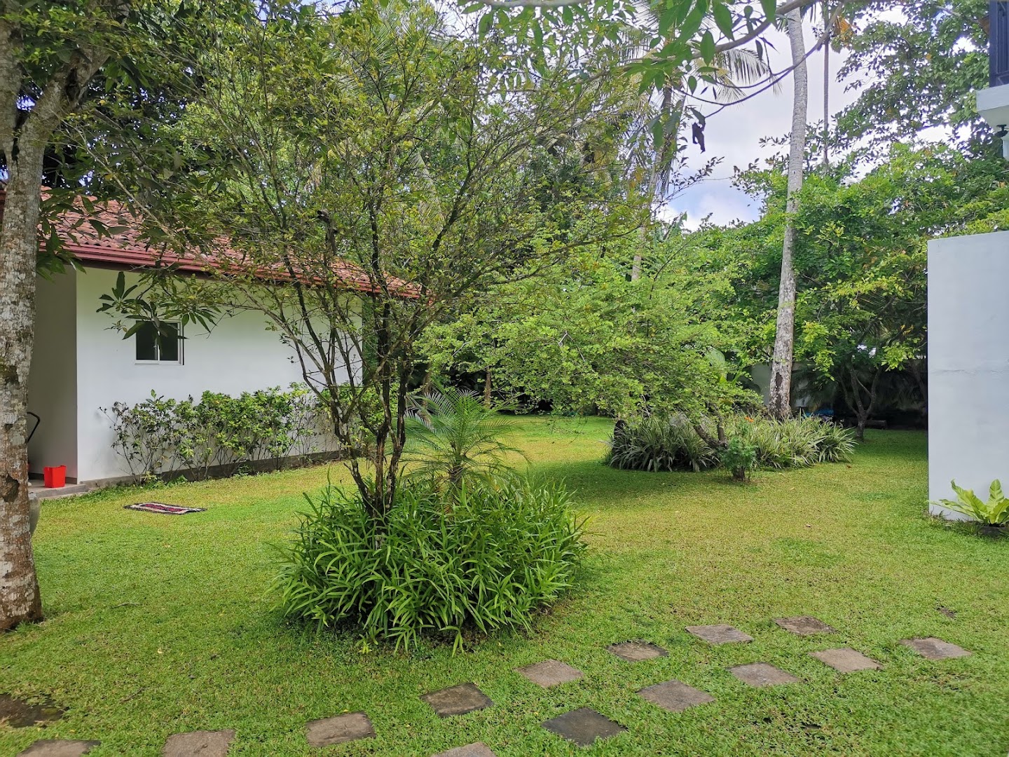 Leafy lawn and garden paths between white villa buildings